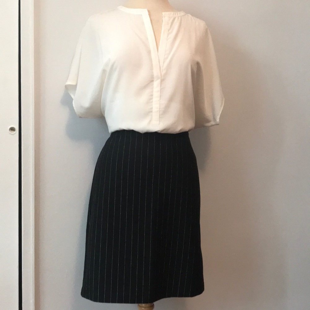 Express - Skirt